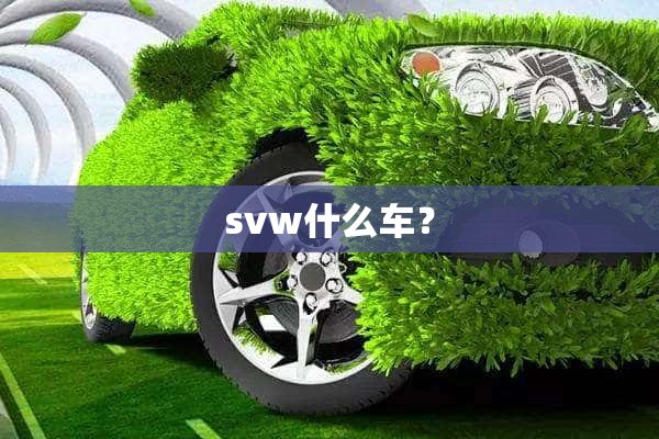 svw什么车？