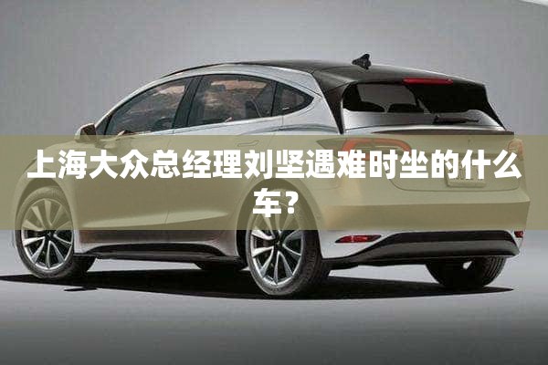 上海大众总经理刘坚遇难时坐的什么车？