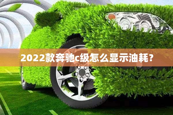 2022款奔驰c级怎么显示油耗？