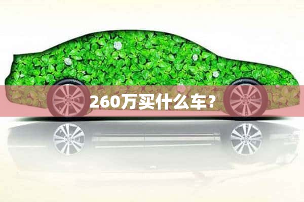 260万买什么车？