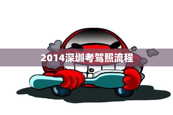 2014深圳考驾照流程