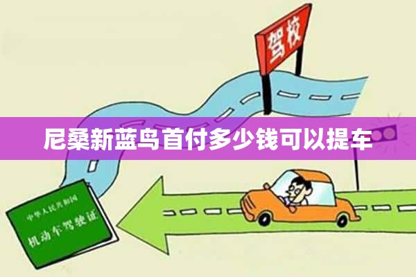 尼桑新蓝鸟首付多少钱可以提车