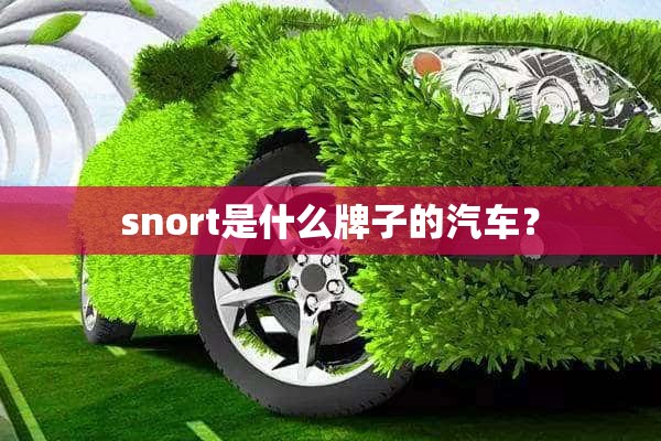 snort是什么牌子的汽车？