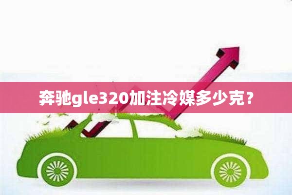 奔驰gle320加注冷媒多少克？