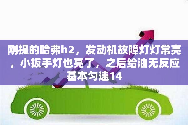 刚提的哈弗h2，发动机故障灯灯常亮，小扳手灯也亮了，之后给油无反应基本匀速14