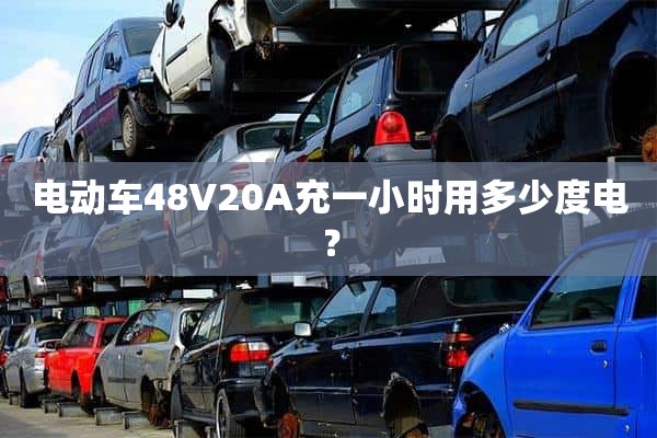 电动车48V20A充一小时用多少度电？