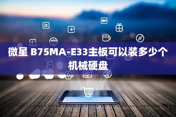 微星 B75MA-E33主板可以装多少个机械硬盘