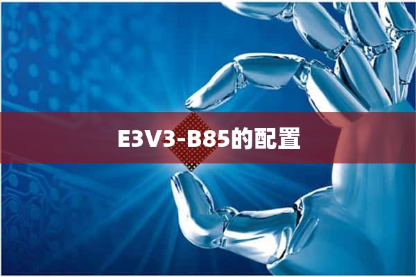 E3V3-B85的配置