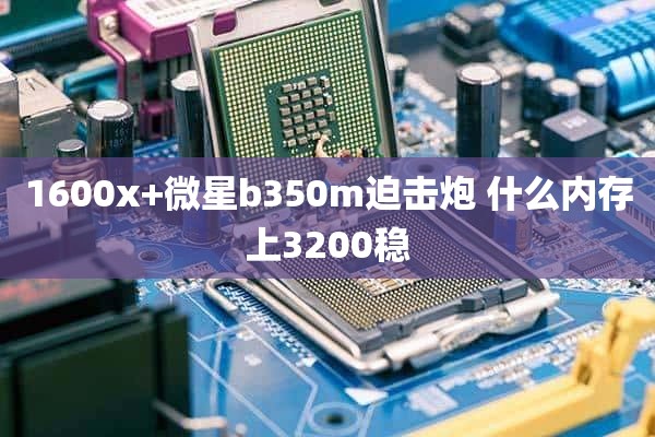 1600x+微星b350m迫击炮 什么内存上3200稳