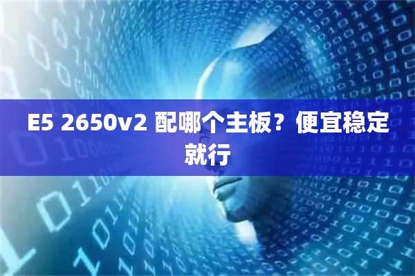 E5 2650v2 配哪个主板？便宜稳定就行