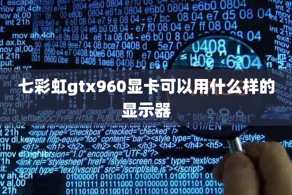 七彩虹gtx960显卡可以用什么样的显示器