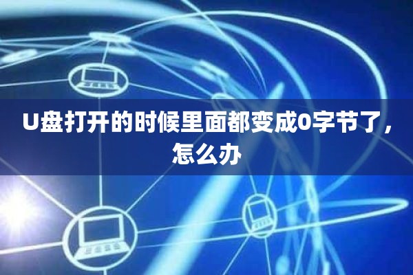 U盘打开的时候里面都变成0字节了，怎么办