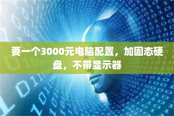 要一个3000元电脑配置，加固态硬盘，不带显示器