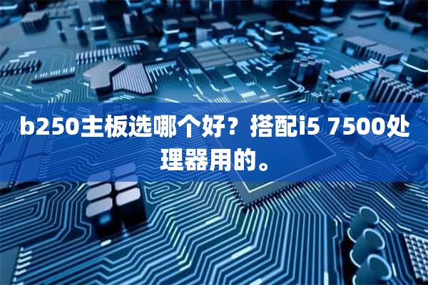 b250主板选哪个好？搭配i5 7500处理器用的。