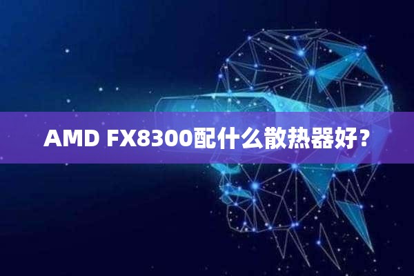 AMD FX8300配什么散热器好？