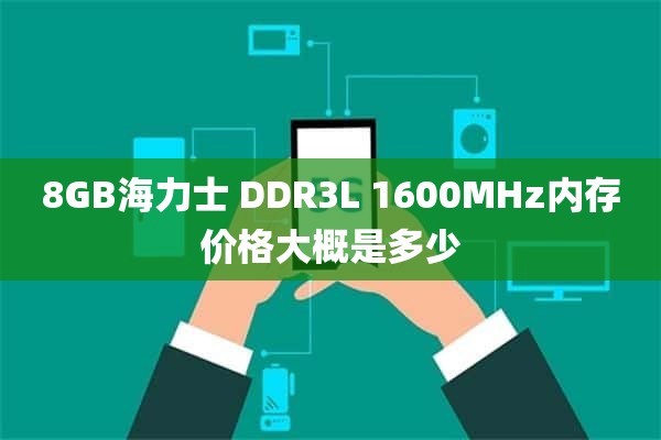 8GB海力士 DDR3L 1600MHz内存价格大概是多少