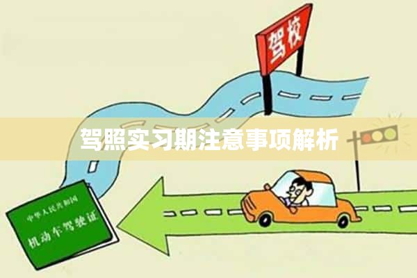 驾照实习期注意事项解析