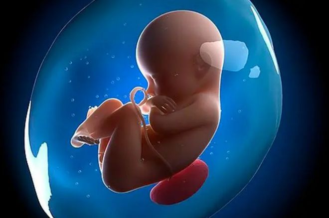 盘点关于胎儿的“小秘密”
