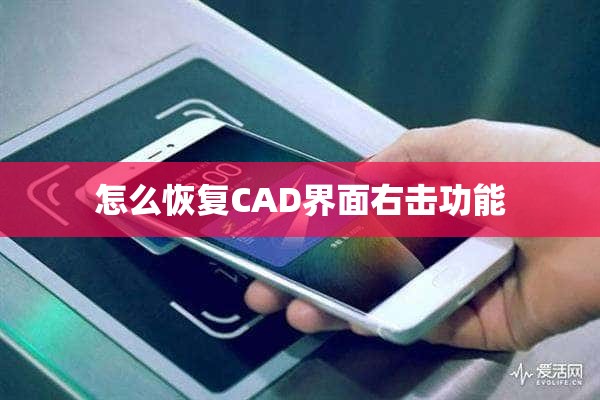 怎么恢复CAD界面右击功能