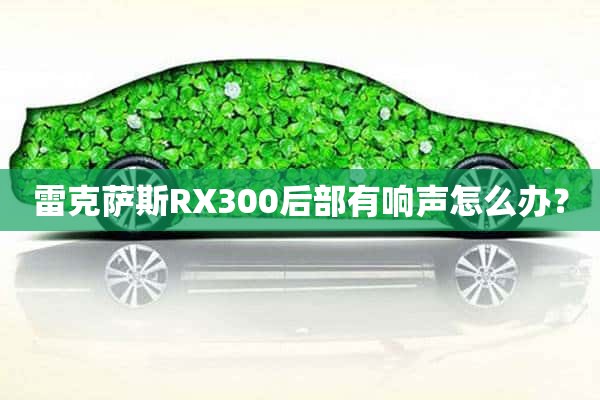 雷克萨斯RX300后部有响声怎么办？