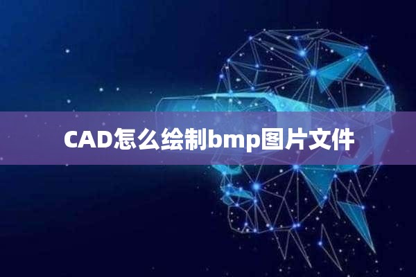 CAD怎么绘制bmp图片文件