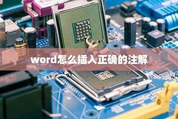 word怎么插入正确的注解