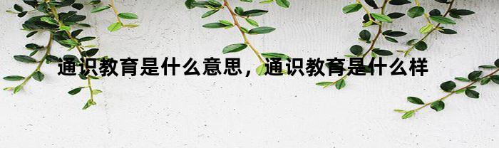 通识教育是什么意思，通识教育是什么样的课程