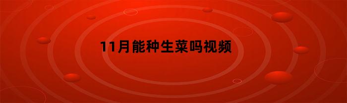11月能种生菜吗视频