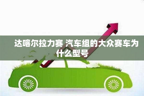     达喀尔拉力赛 汽车组的大众赛车为什么型号