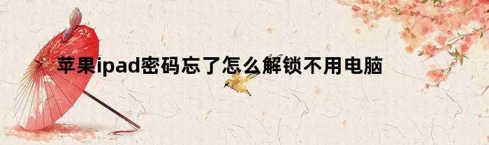 苹果ipad密码忘了怎么解锁不用电脑
