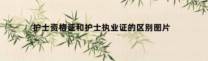 护士资格证和护士执业证的区别图片