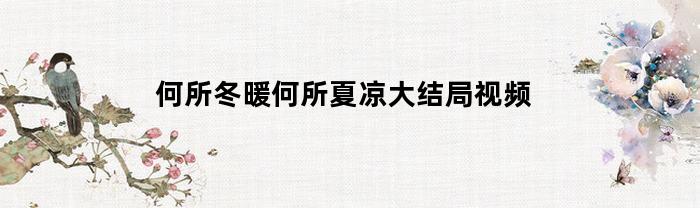 何所冬暖何所夏凉大结局视频