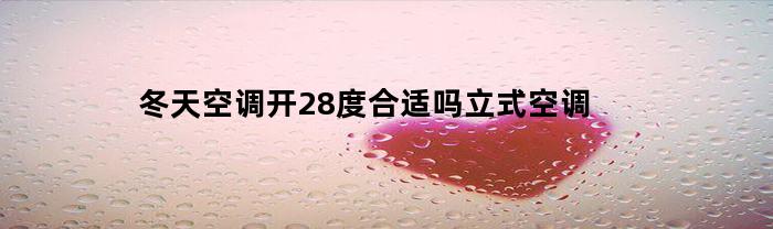 冬天空调开28度合适吗立式空调