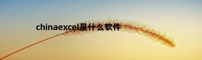 chinaexcel是什么软件