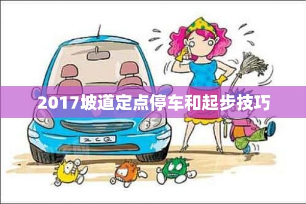 2017坡道定点停车和起步技巧