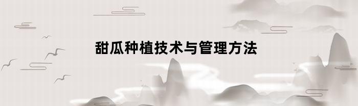 甜瓜种植技术与管理方法