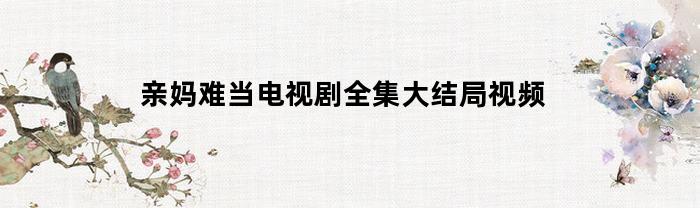 亲妈难当电视剧全集大结局视频