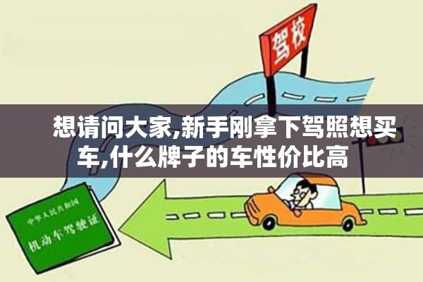     想请问大家,新手刚拿下驾照想买车,什么牌子的车性价比高