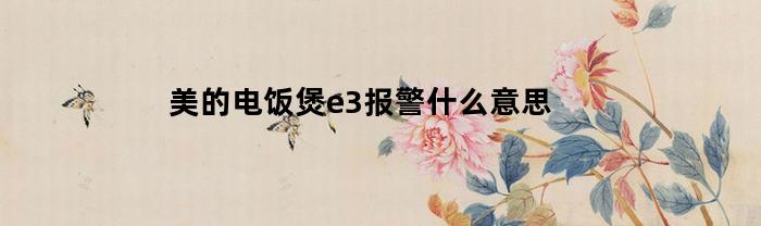 美的电饭煲e3报警什么意思