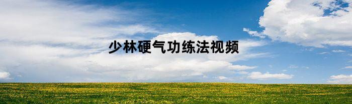 少林硬气功练法视频