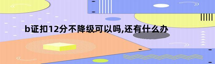 b证扣12分不降级可以吗,还有什么办法,不降级