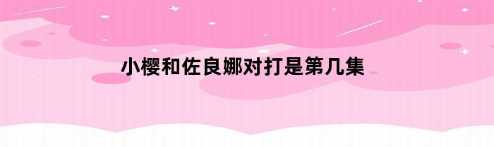 小樱和佐良娜对打是第几集