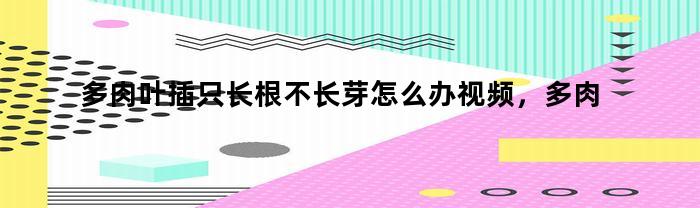 多肉叶插只长根不长芽怎么办视频，多肉叶插只长根不长芽怎么办呢