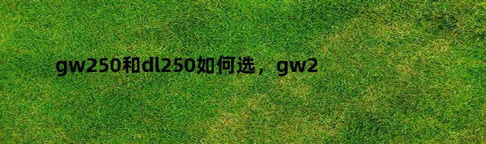 gw250和dl250如何选，gw250和dl250配置区别