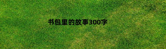 书包里的故事300字