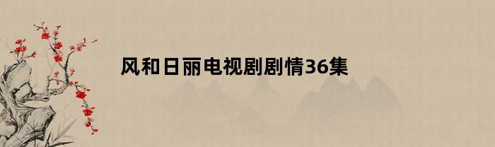 风和日丽电视剧剧情36集