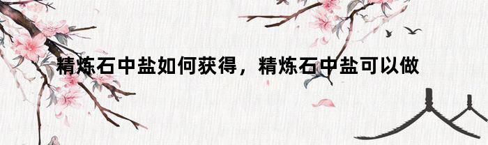 精炼石中盐如何获得,精炼石中盐可以做什么