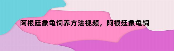 阿根廷象龟饲养方法视频，阿根廷象龟饲养方法大全