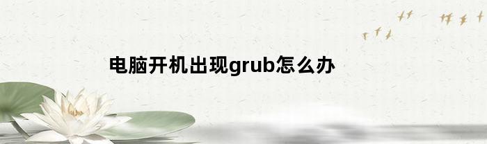 电脑开机出现grub怎么办