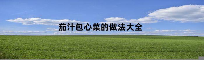 茄汁包心菜的做法大全